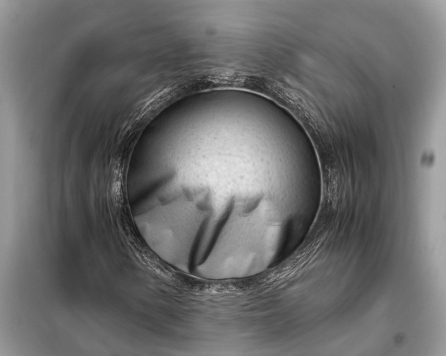 X0000098221154200805081151