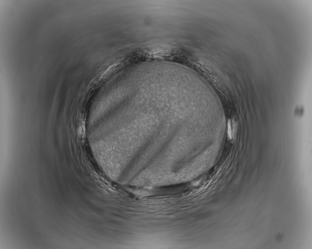 X0000098221155200805081151