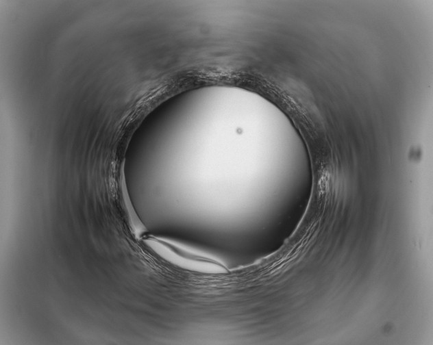 X0000098221156200805081151