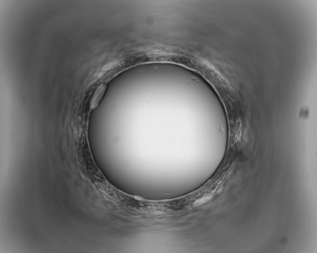 X0000098221157200805081151