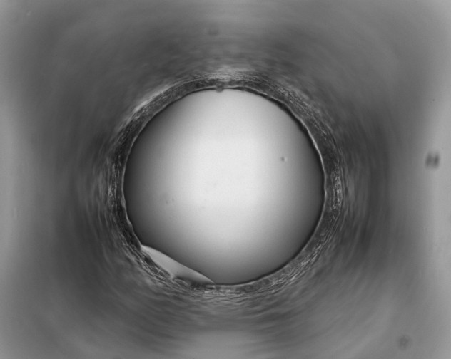 X0000098221158200805081151