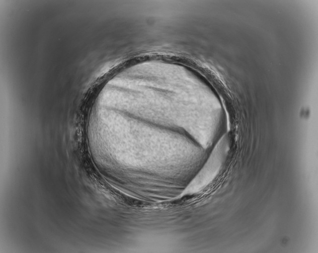 X0000098221159200805081151