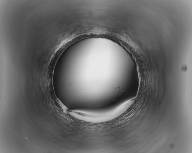 X0000098221160200805081151