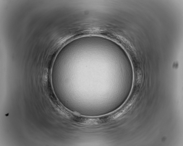 X0000098221161200805081151