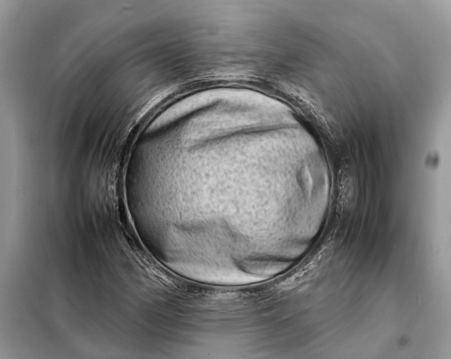 X0000098221162200805081151