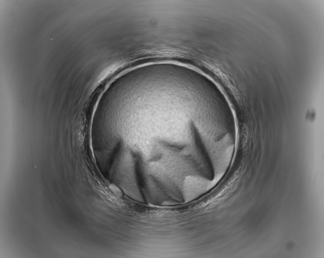 X0000098221163200805081151