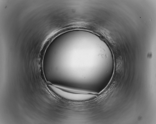 X0000098221164200805081151