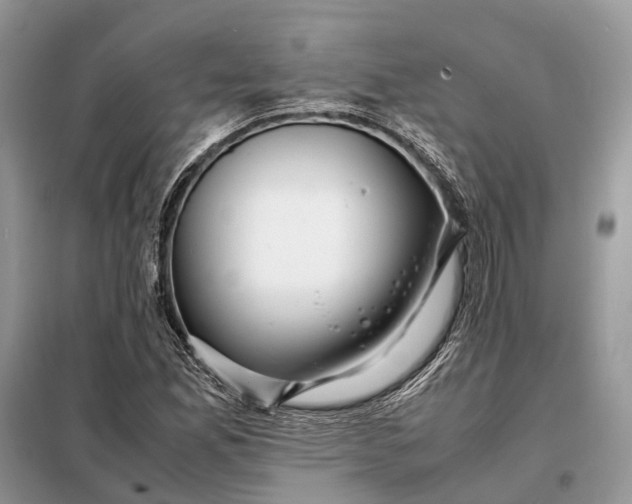 X0000098221165200805081151