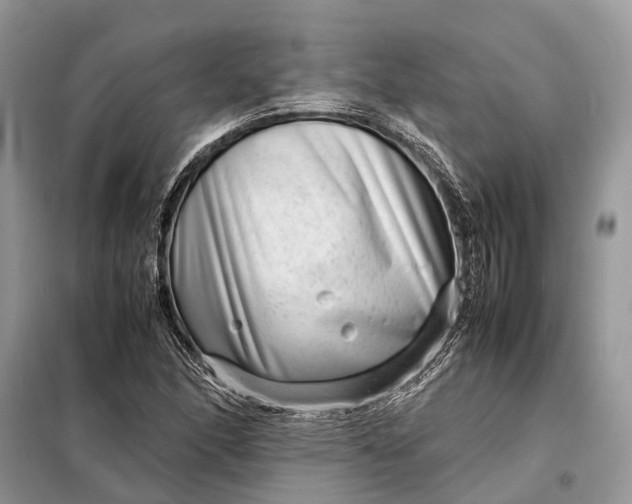 X0000098221166200805081151