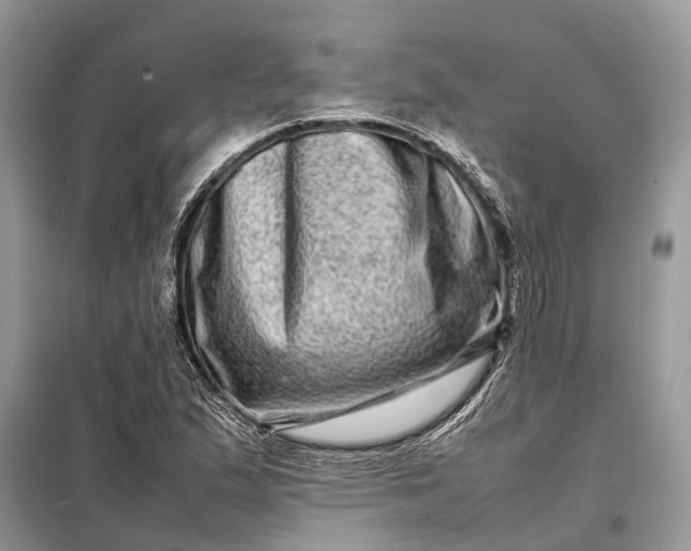 X0000098221167200805081151