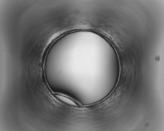 X0000098221168200805081151