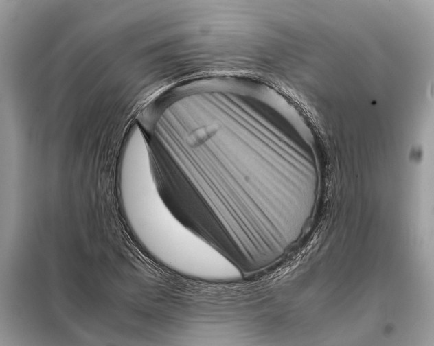 X0000098221169200805081151