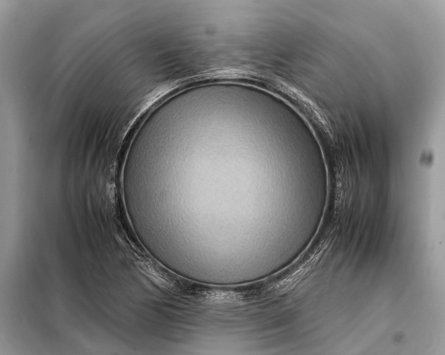 X0000098221170200805081151