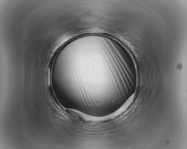 X0000098221171200805081151