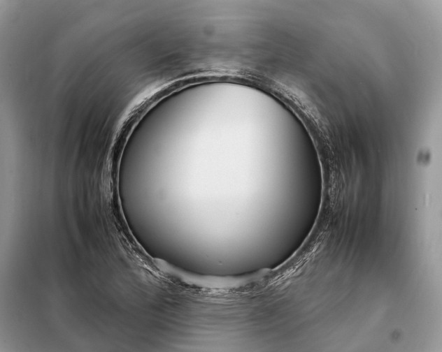 X0000098221172200805081151