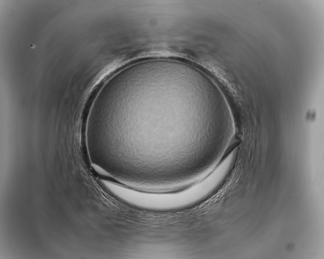 X0000098221173200805081151