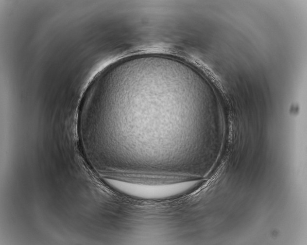 X0000098221174200805081151