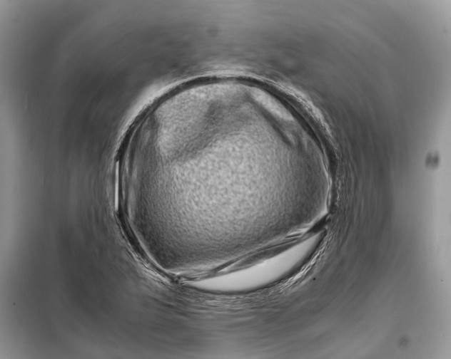 X0000098221175200805081151