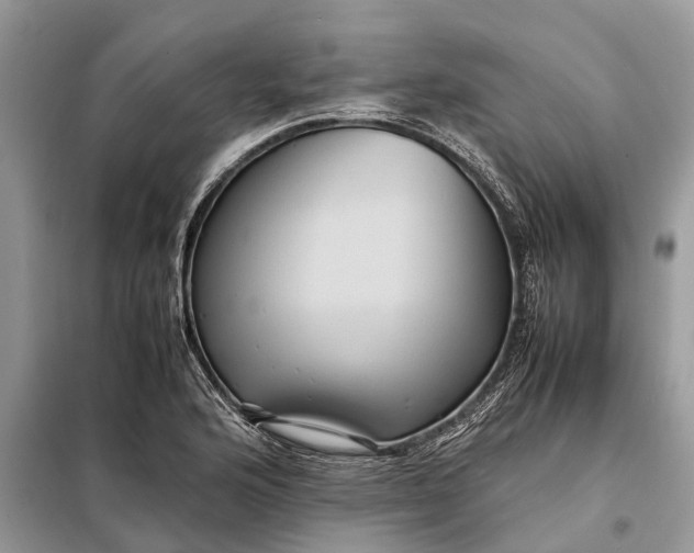 X0000098221176200805081151