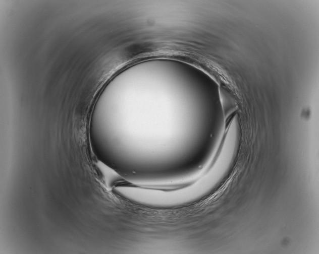 X0000098221177200805081151