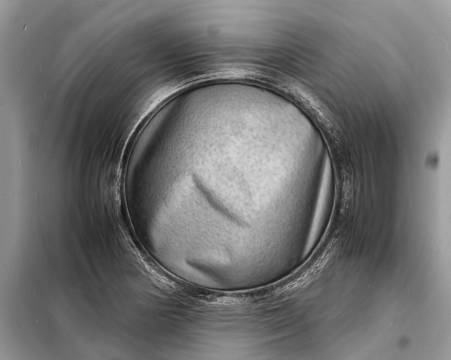 X0000098221178200805081151