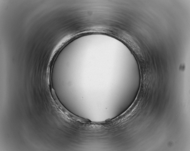 X0000098221180200805081151