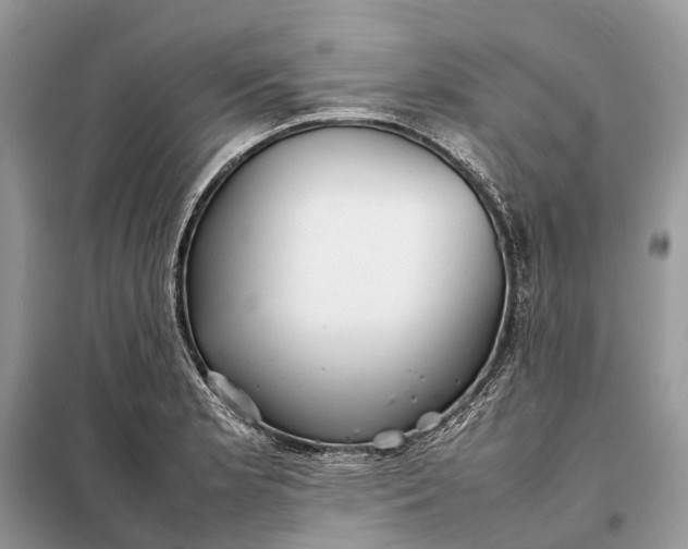 X0000098221181200805081151