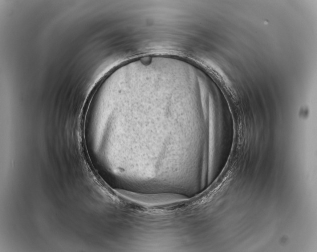 X0000098221182200805081151