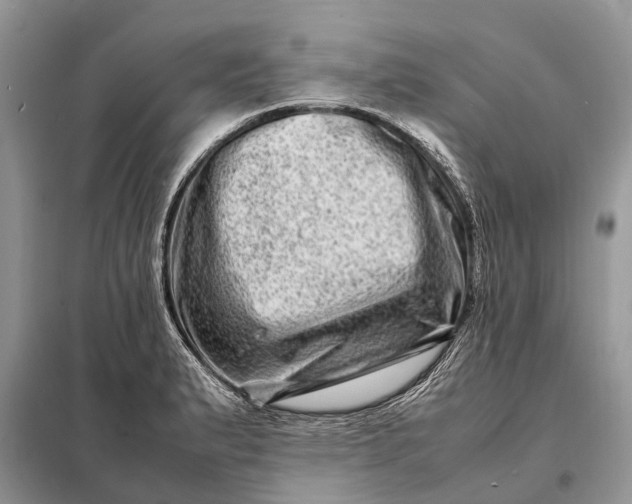 X0000098221183200805081151