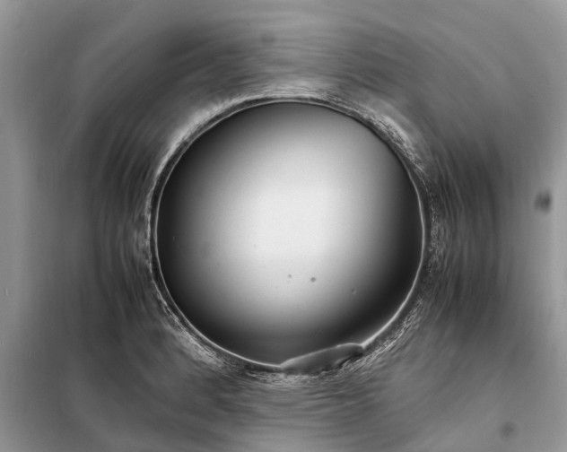 X0000098221184200805081151