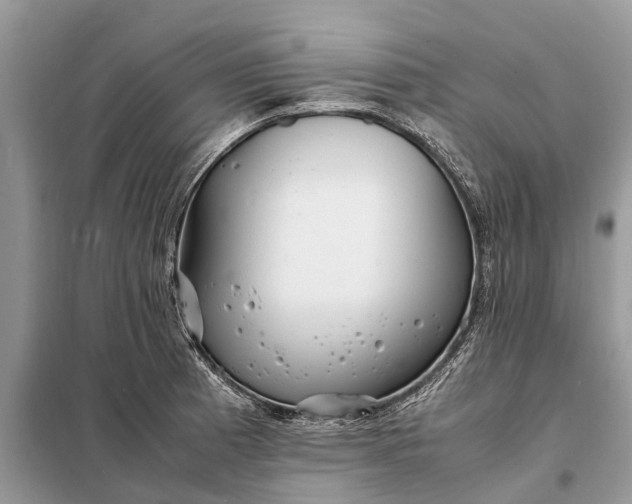 X0000098221185200805081151