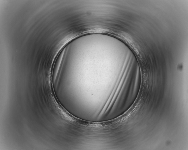 X0000098221186200805081151