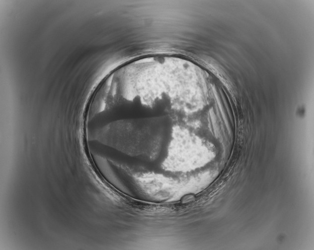 X0000098221187200805081151