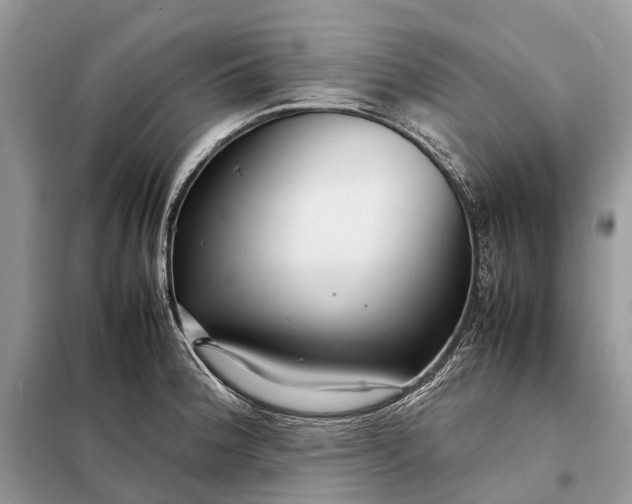 X0000098221188200805081151