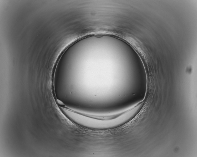 X0000098221189200805081151