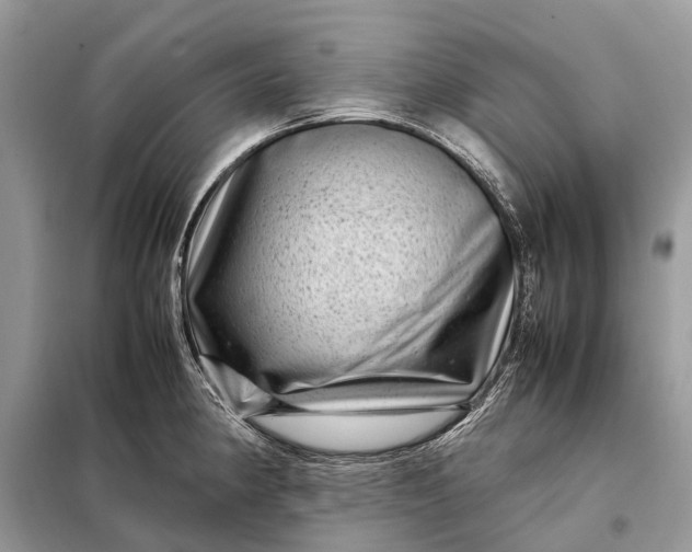 X0000098221190200805081151