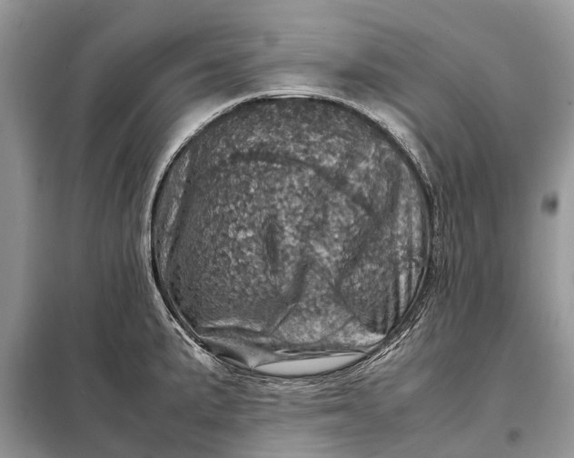 X0000098221191200805081151