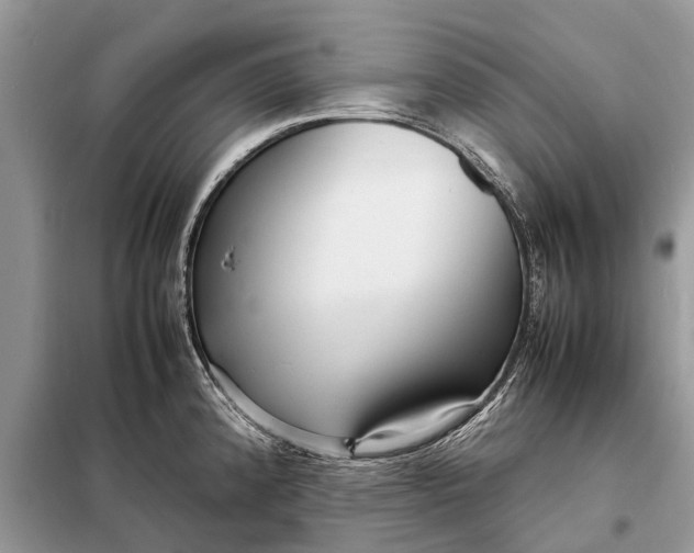 X0000098221192200805081151