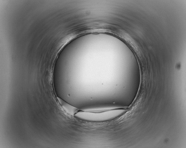 X0000098221193200805081151