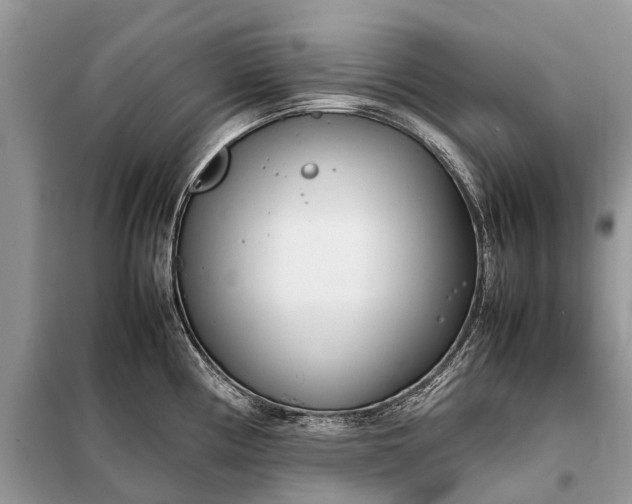 X0000098221194200805081151