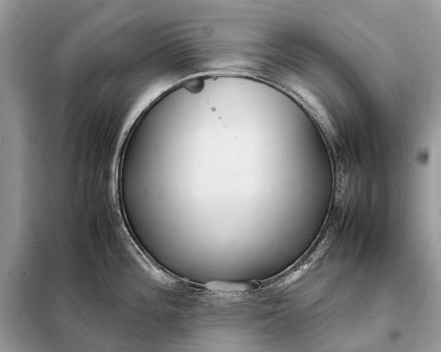 X0000098221196200805081151