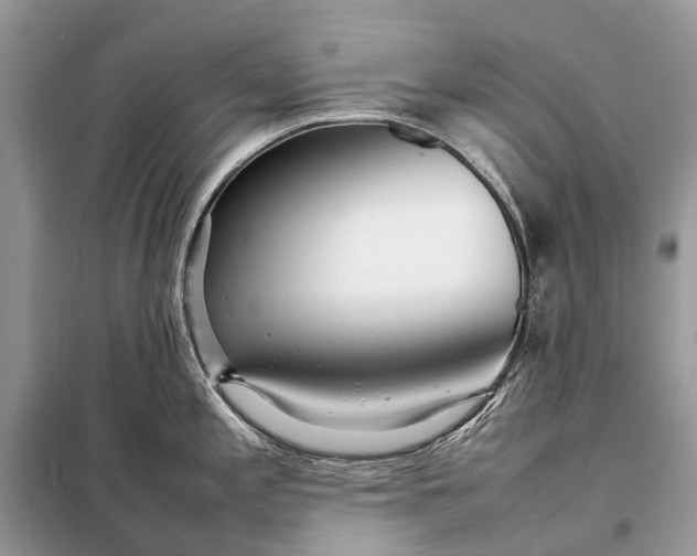 X0000098221197200805081151