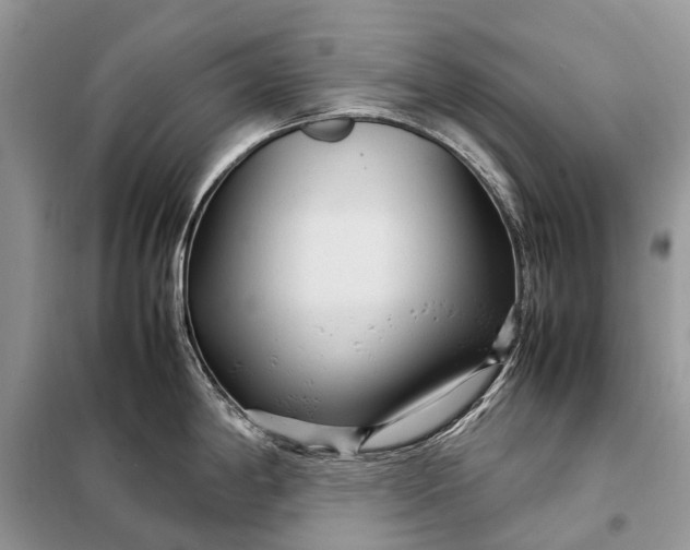 X0000098221198200805081151