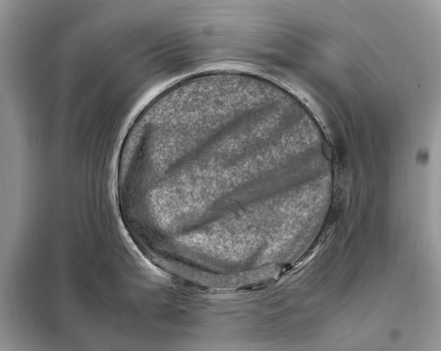 X0000098221199200805081151