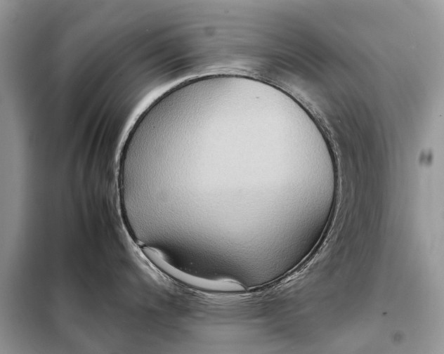 X0000098221200200805081151