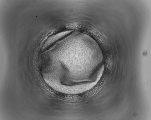 X0000098221201200805081150