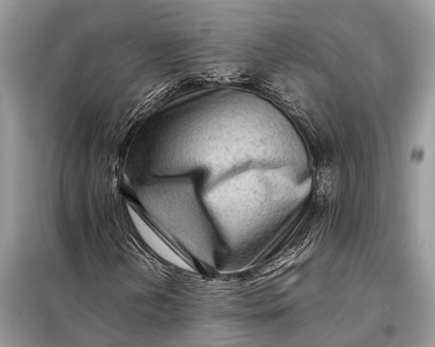 X0000098221202200805081150