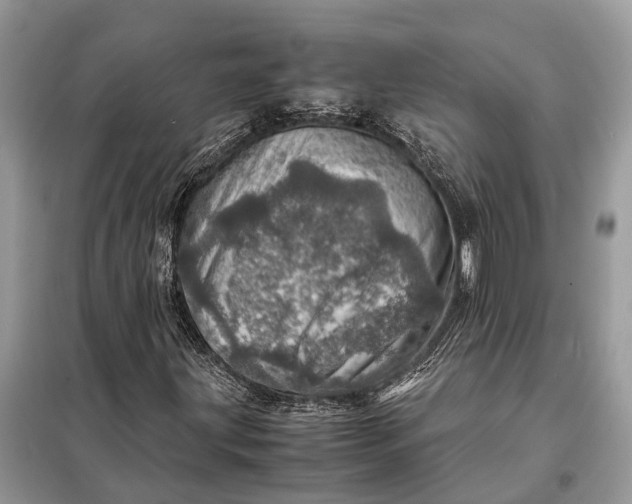 X0000098221203200805081150