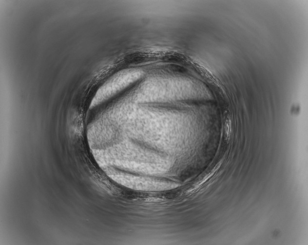 X0000098221204200805081150