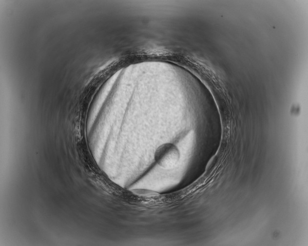 X0000098221205200805081150